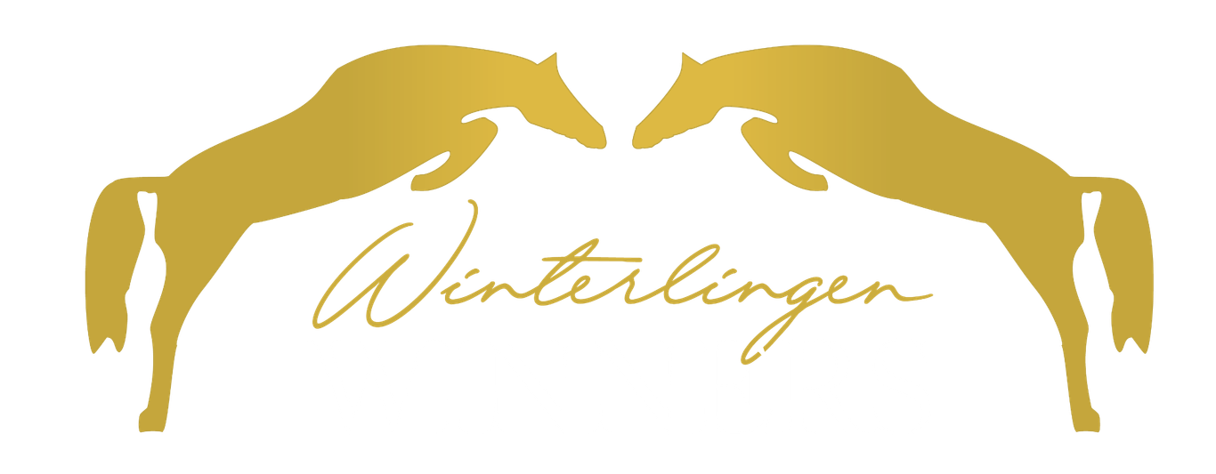 Winterlingen Winners